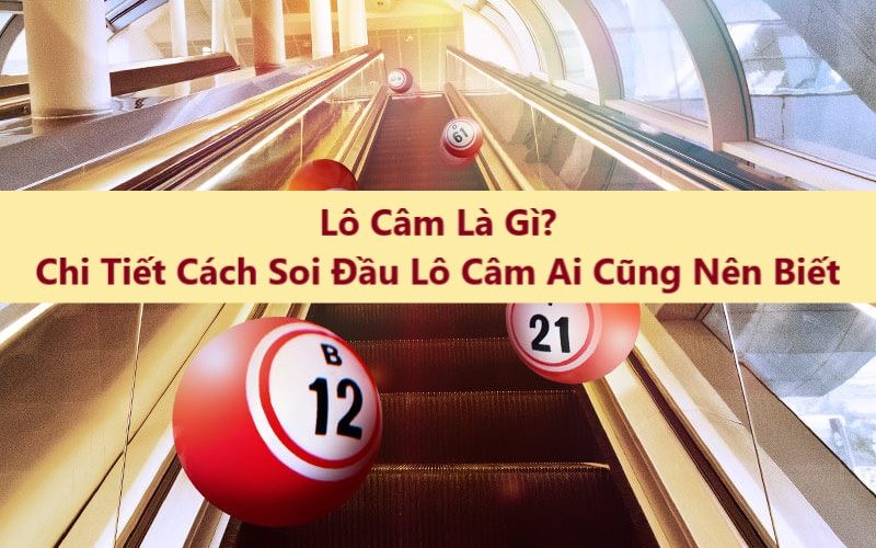 Khái niệm về lô tô câm